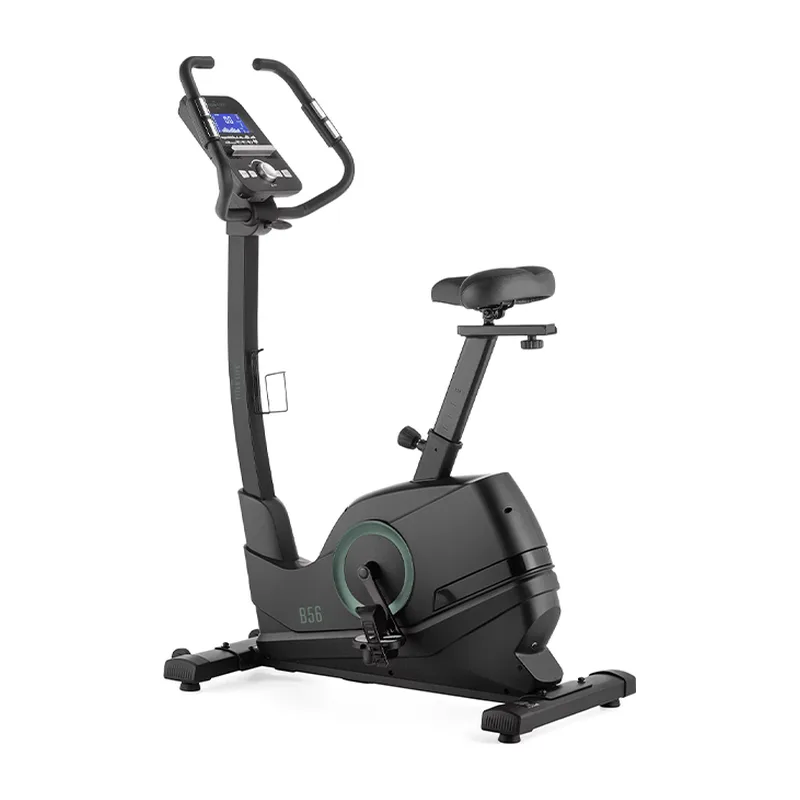 Titan Life Bike B56